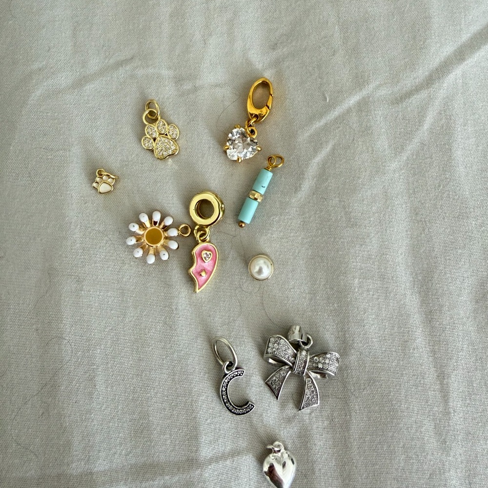 Assorted Gold and Silver Charms